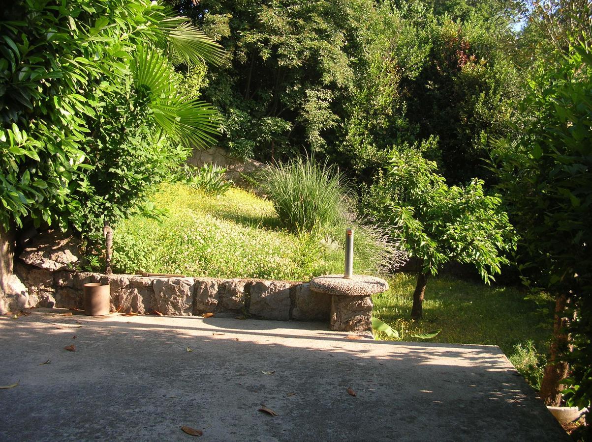 Vacation Home Lucija Slatina  Zewnętrze zdjęcie